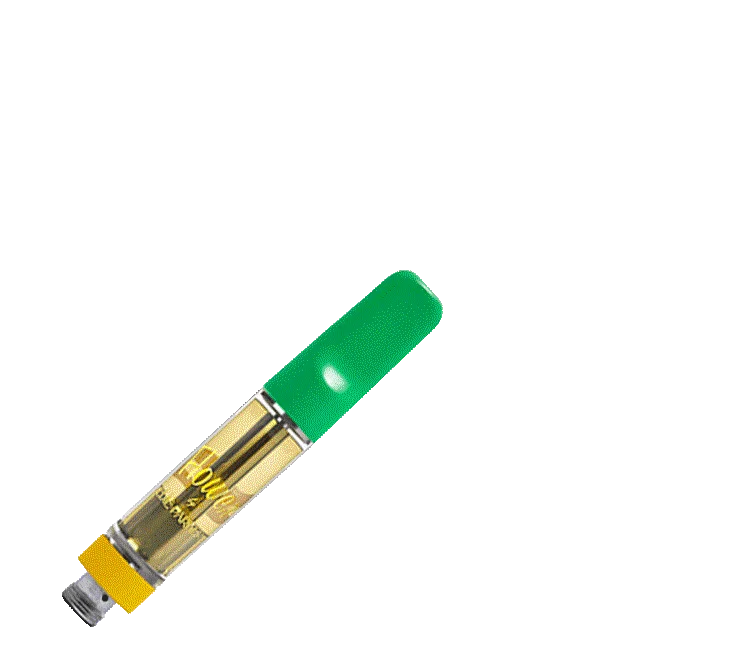 Cartridge Animation